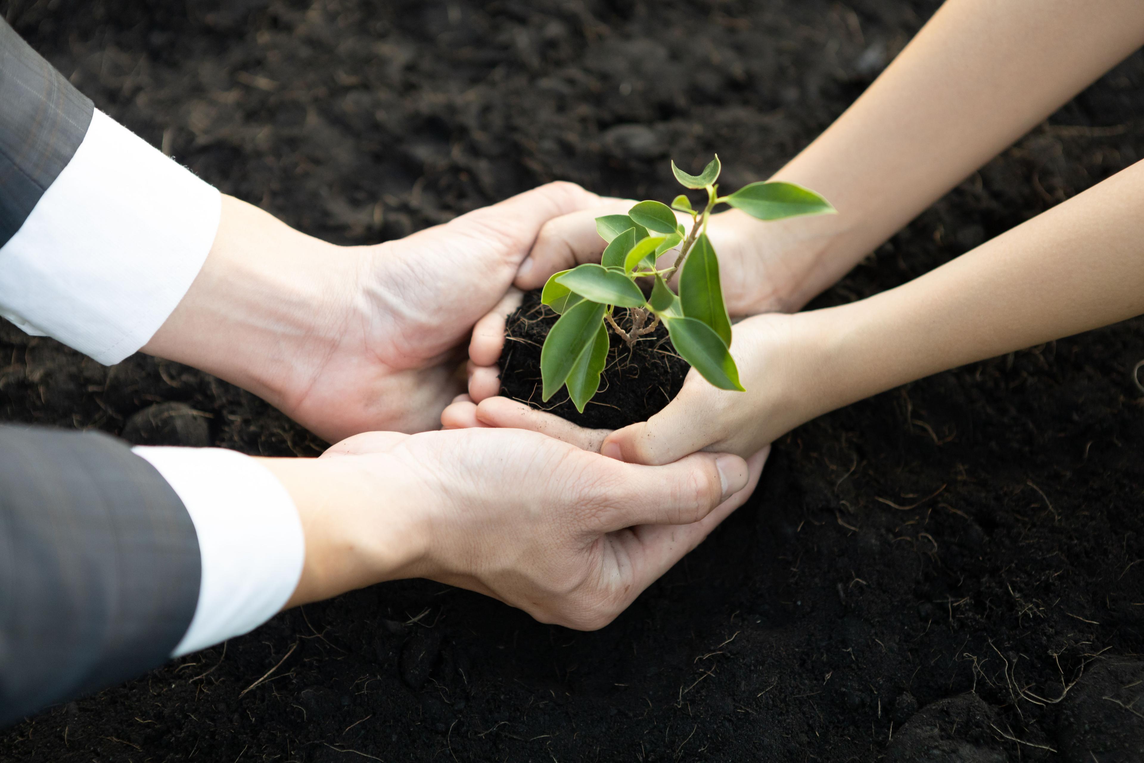“АгріАналітика” і “ВІЖИНФАНД ЮКРЕЙН”: Комплексне партнерство